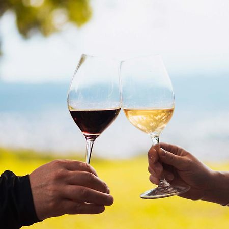 Altos De La Vina, Wine Hotel & Spa San Salvador de Jujuy Kültér fotó