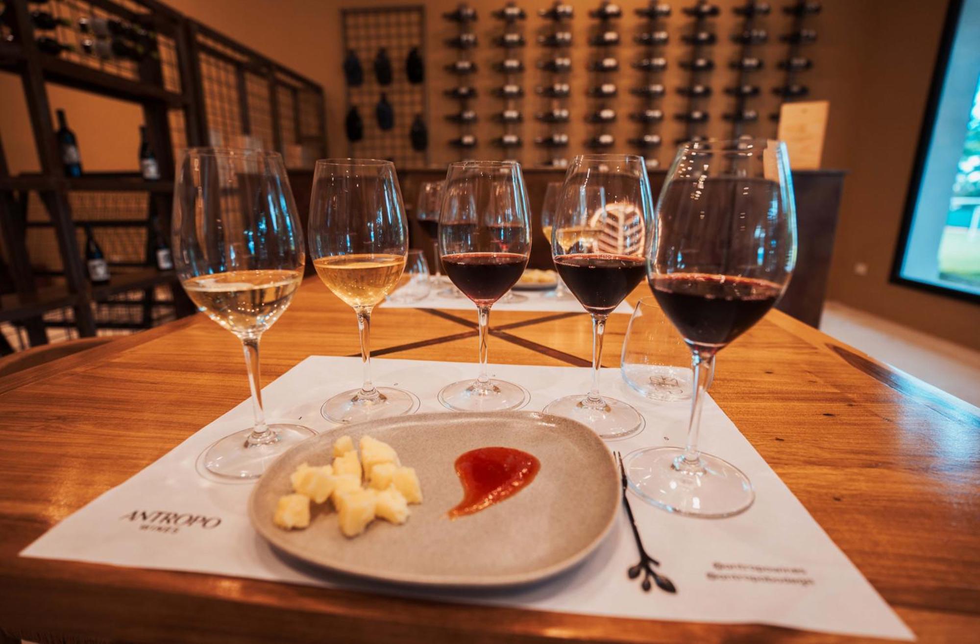 Altos De La Vina, Wine Hotel & Spa San Salvador de Jujuy Kültér fotó